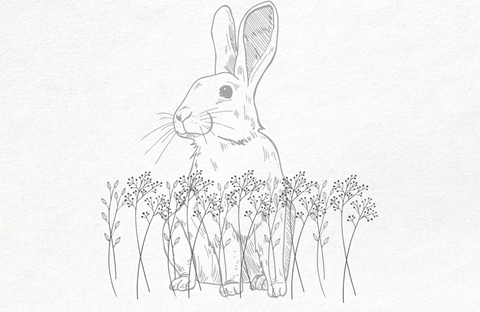 Anafgroup: Happy Easter!